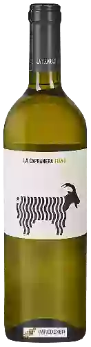 Weingut La Capranera - Fiano