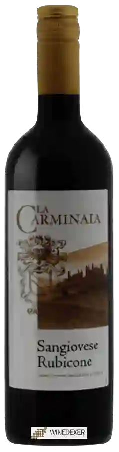 Weingut La Carminaia - Sangiovese Weingut La Carminaia - Sangiovese
