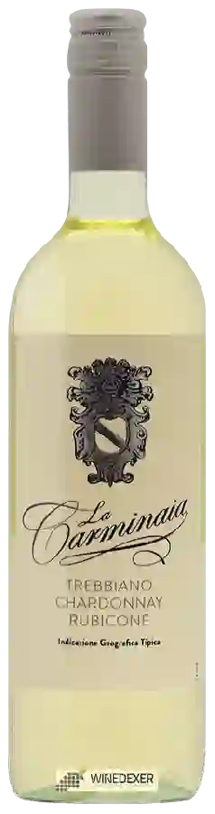 Weingut La Carminaia - Trebbiano - Chardonnay Weingut La Carminaia - Trebbiano - Chardonnay