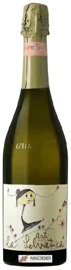 Weingut Azienda Agricola Caudrina - La Selvatica Asti Weingut Azienda Agricola Caudrina - La Selvatica Asti