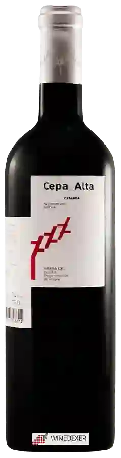 Weingut La Cepa Alta - Crianza