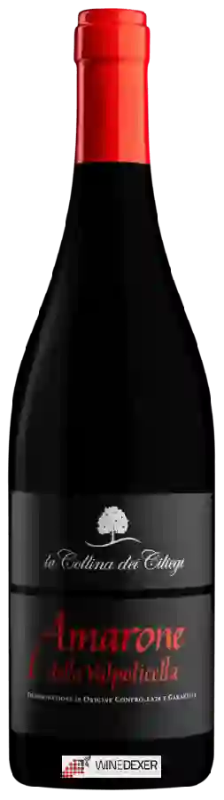 Weingut La Collina dei Ciliegi - Amarone della Valpolicella Weingut La Collina dei Ciliegi - Amarone della Valpolicella