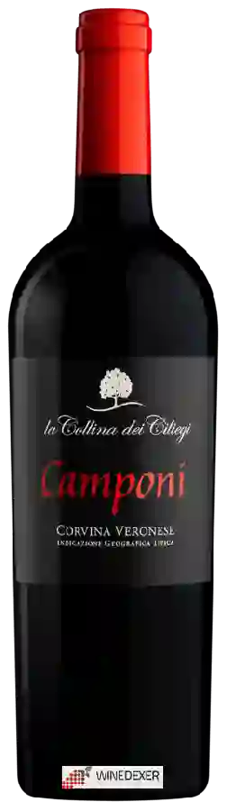 Weingut La Collina dei Ciliegi - Camponi