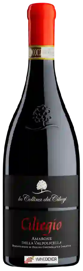 Weingut La Collina dei Ciliegi - Ciliegio Amarone della Valpolicella
