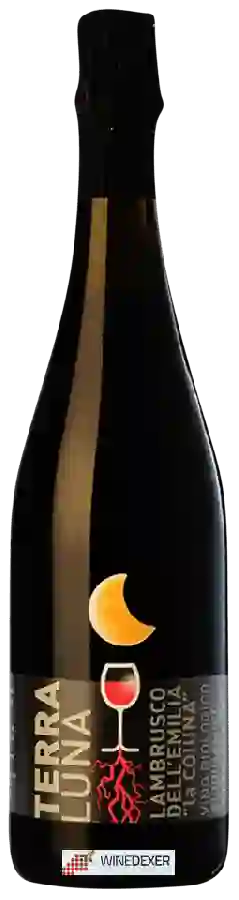 Weingut La Collina - Terra Luna Lambrusco