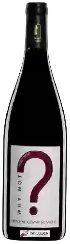 Domaine Combe Blanche - Why Not Pinot Noir