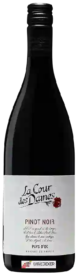 Weingut La Cour des Dames - Pinot Noir Weingut La Cour des Dames - Pinot Noir