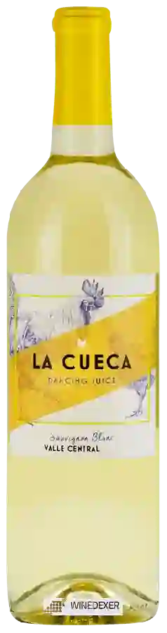 Weingut La Cueca - Sauvignon Blanc Weingut La Cueca - Sauvignon Blanc
