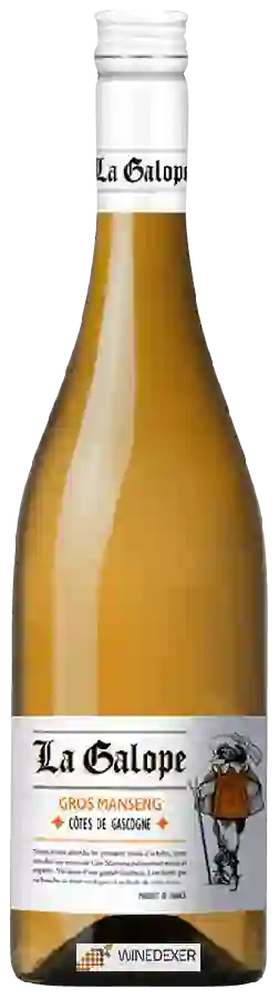 Weingut La Galope - Côtes de Gascogne Gros Manseng