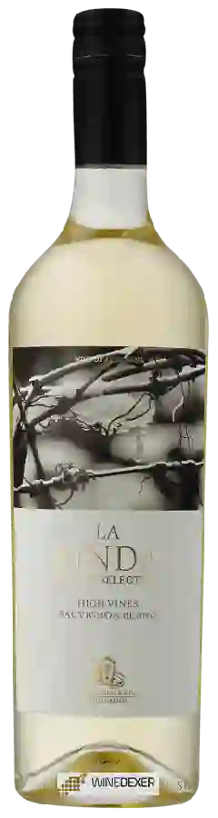 Weingut La Linda - High Vines Sauvignon Blanc Weingut La Linda - High Vines Sauvignon Blanc