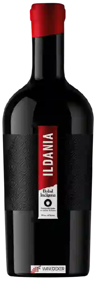 Weingut La Niña de Cuenca - Ildania Bobal Indigena