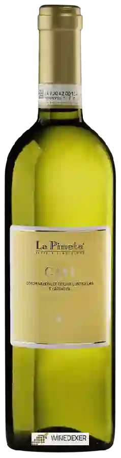 Weingut La Pineta - Gavi Weingut La Pineta - Gavi