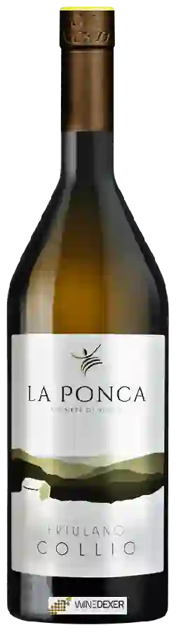 Weingut Tenuta La Ponca - Friulano Collio
