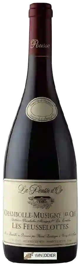 Weingut La Pousse d'Or - Chambolle-Musigny 1er Cru 'Les Feusselottes'