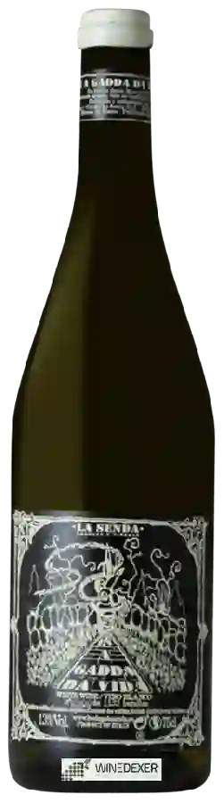 Weingut La Senda - In a Gadda da Vida Weingut La Senda - In a Gadda da Vida