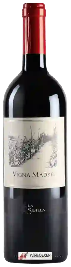 Weingut La Sibilla - Vigna Madre Weingut La Sibilla - Vigna Madre