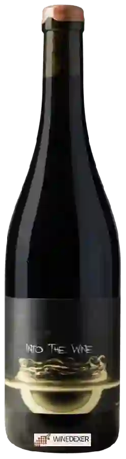 Weingut La Sorga - Into The Wine