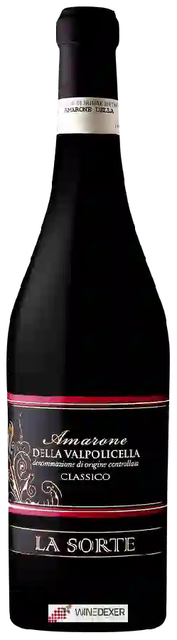 Weingut La Sorte - Amarone della Valpolicella Classico Weingut La Sorte - Amarone della Valpolicella Classico