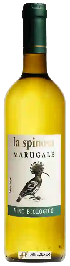 Weingut La Spinosa - Marugale