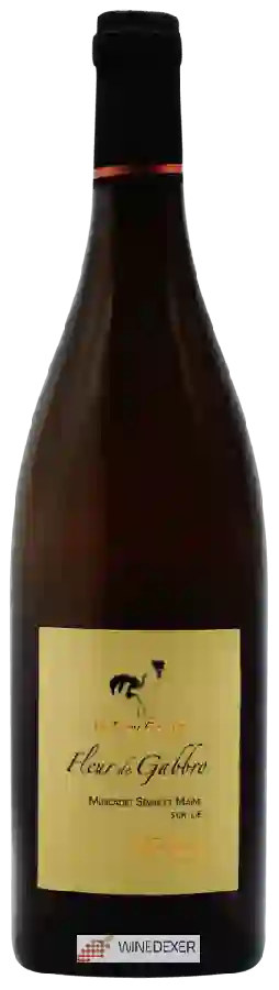 Weingut La Tour Gallus - Damien Rineau - Fleur de Gabbro Muscadet-Sèvre et Maine Sur Lie Weingut La Tour Gallus - Damien Rineau - Fleur de Gabbro Muscadet-Sèvre et Maine Sur Lie