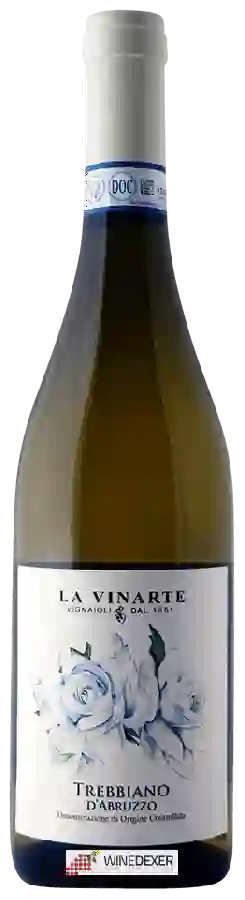 Weingut La Vinarte - Trebbiano d’Abruzzo