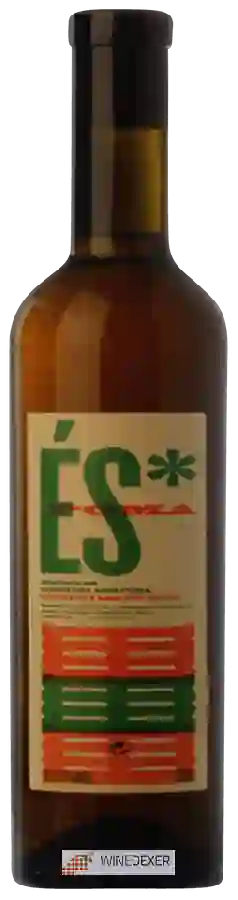 Weingut La Vinyeta - És Poma Weingut La Vinyeta - És Poma