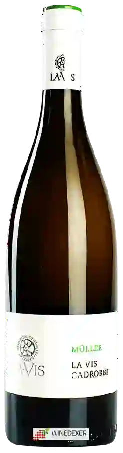 Weingut Cantina La-Vis - Cadrobbi Müller Weingut Cantina La-Vis - Cadrobbi Müller