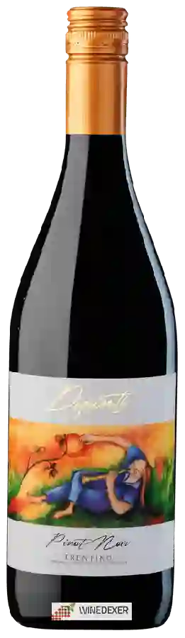 Weingut Cantina La-Vis - Dipinti Pinot Noir Weingut Cantina La-Vis - Dipinti Pinot Noir