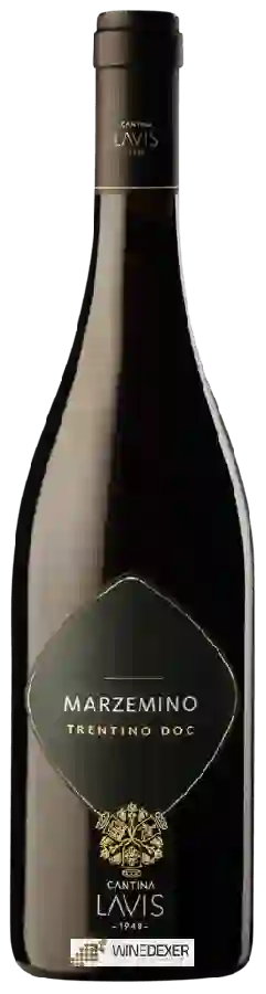 Weingut Cantina La-Vis - Marzemino