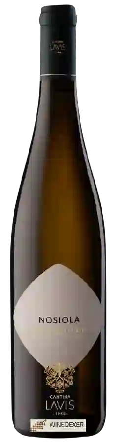 Weingut Cantina La-Vis - Nosiola Weingut Cantina La-Vis - Nosiola