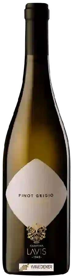 Weingut Cantina La-Vis - Pinot Grigio Weingut Cantina La-Vis - Pinot Grigio