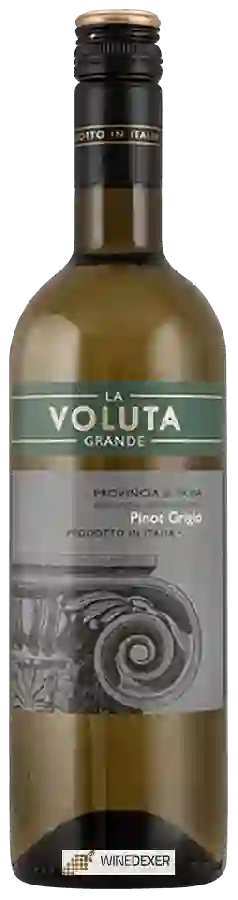 Weingut La Voluta Grande - Pinot Grigio Provincia di Pavia Weingut La Voluta Grande - Pinot Grigio Provincia di Pavia