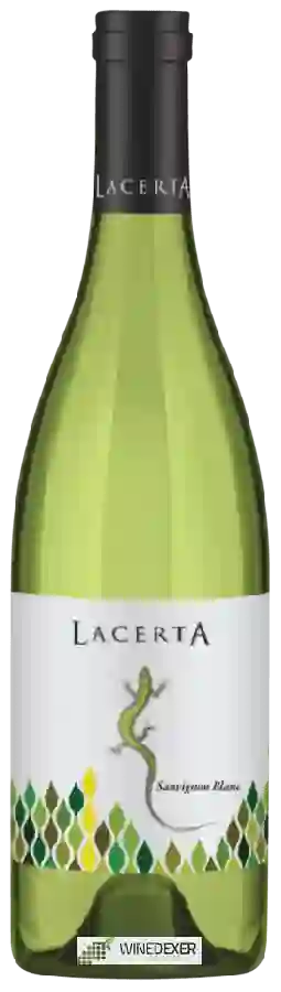 Weingut Lacerta (RO) - Sauvignon Blanc