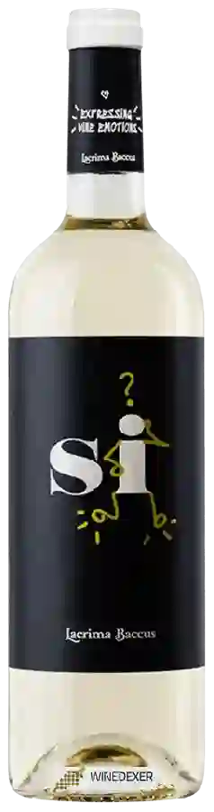 Weingut Lacrima Baccus - Sí Blanco Weingut Lacrima Baccus - Sí Blanco