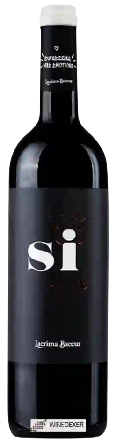 Weingut Lacrima Baccus - Sí Tinto Weingut Lacrima Baccus - Sí Tinto