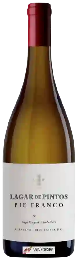 Weingut Lagar de Pintos - Pie Franco Albariño Weingut Lagar de Pintos - Pie Franco Albariño