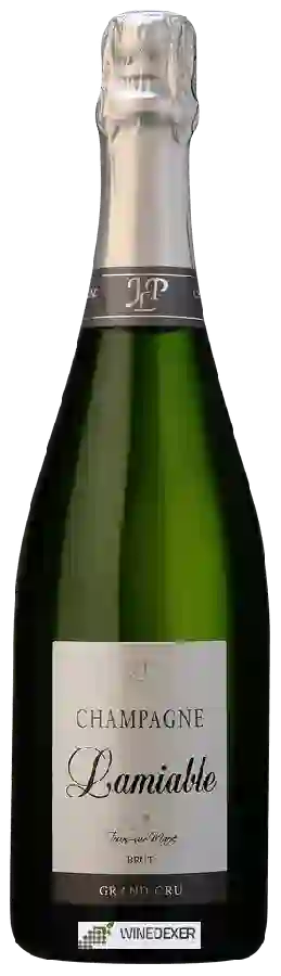 Weingut Lamiable - Brut Champagne Grand Cru 'Tours-sur-Marne'