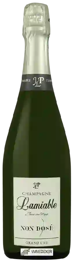 Weingut Lamiable - Non Dosé Brut Champagne Grand Cru 'Tours-sur-Marne'