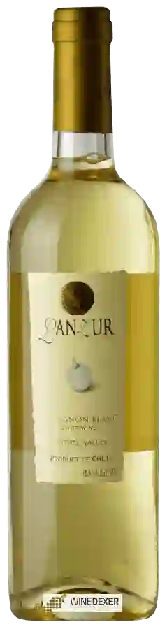 Weingut LanZur - Sauvignon Blanc Weingut LanZur - Sauvignon Blanc
