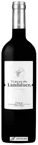 Weingut Landaluce - Fincas de Landaluce Graciano