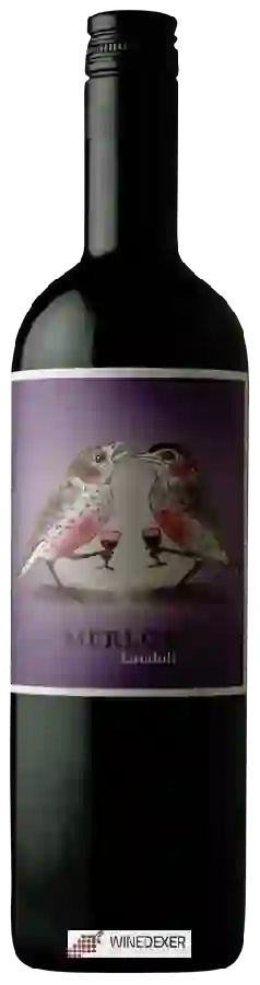 Weingut Landolt Weine - Merlot Weingut Landolt Weine - Merlot