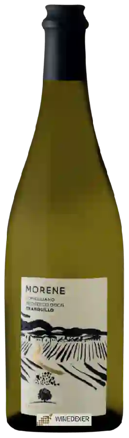 Weingut L'Antica Quercia - Morene Conegliano Prosecco Tranquillo Weingut L'Antica Quercia - Morene Conegliano Prosecco Tranquillo