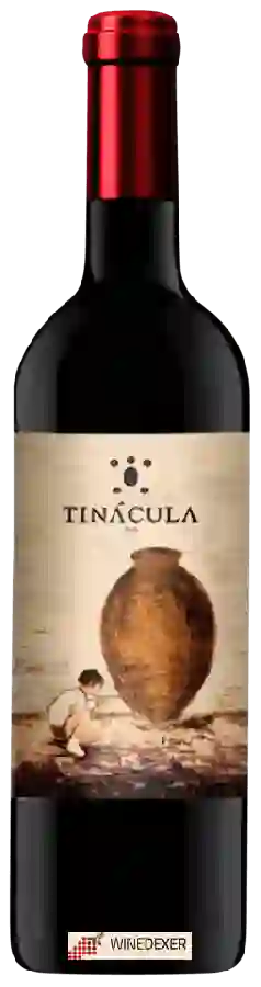 Weingut Las Calzadas - Tinácula Weingut Las Calzadas - Tinácula