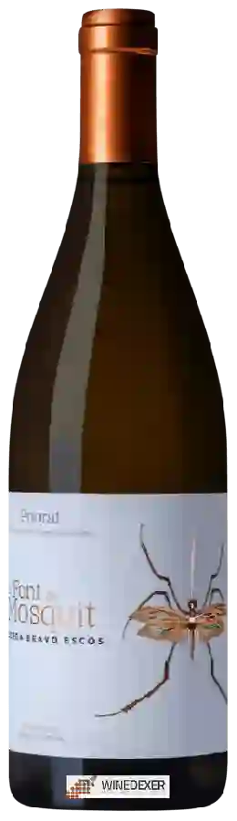 Weingut Las Nubes - La Font del Mosquit Weingut Las Nubes - La Font del Mosquit