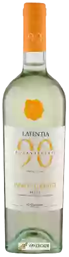 Latentia Winery - 90 Novantaceppi Pinot Grigio
