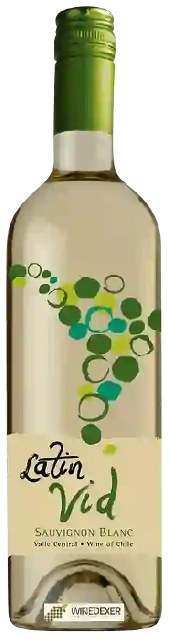 Weingut Latin Vid - Sauvignon Blanc Weingut Latin Vid - Sauvignon Blanc