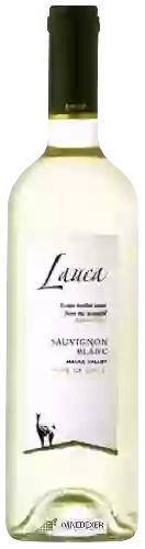 Weingut Lauca - Sauvignon Blanc
