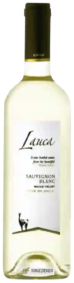 Weingut Lauca - Sauvignon Blanc