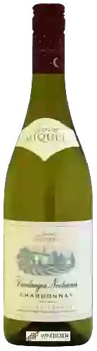 Weingut Laurent Miquel - Vendanges Nocturnes Chardonnay