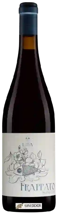 Weingut Vino Lauria - Frappato (Scoglitti) Weingut Vino Lauria - Frappato (Scoglitti)